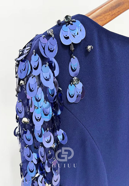 Elegant Long Sleeves Scoop Sequins A-Line Evening Dress